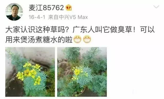 花胶鸡脚蝎子汤 2025年花胶鸡脚汤放什么材料