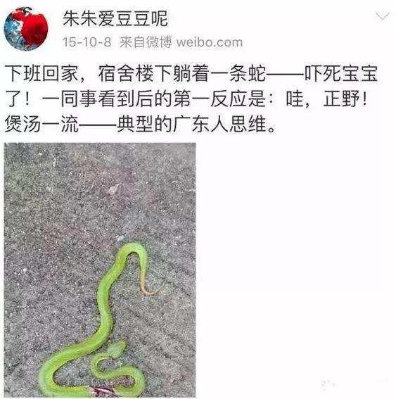 花胶鸡脚蝎子汤 2025年花胶鸡脚汤放什么材料