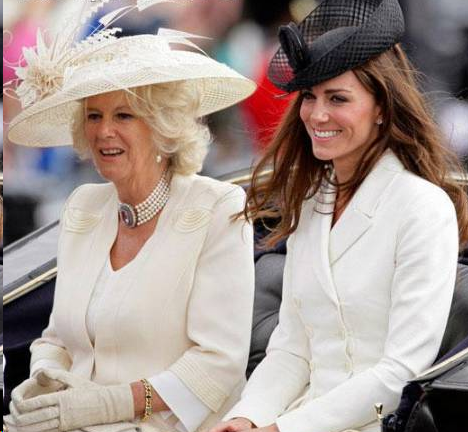 皇妃攻略破解版的剧情（凯特不喜欢卡米拉的原因）