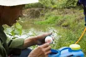 农技｜杀虫剂与除草剂到底能不能混用？图片