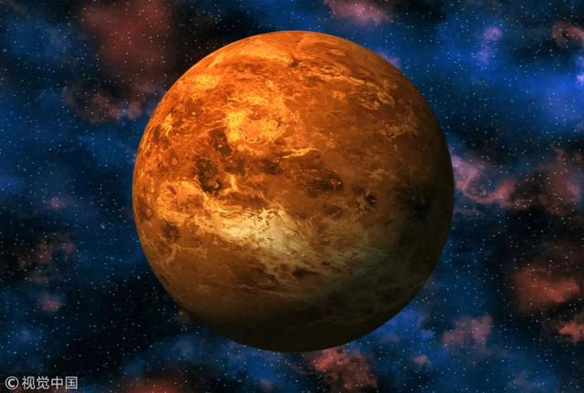 宠物王国7推箱子攻略（荐读这40个冷知识）