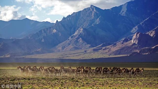 「荐读」这40个冷知识，据说只有1%的人知道，颠覆认知！