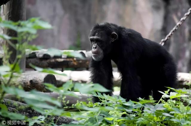 「荐读」这40个冷知识，据说只有1%的人知道，颠覆认知！