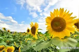 人生有三种好心态：放宽心、不纠缠、少计较图片