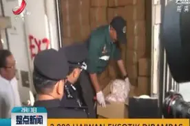 马来西亚海关查获大批活穿山甲和鳞片视频封面