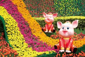 百万人来白云看花！这些地方火爆春节，现在还能打卡图片