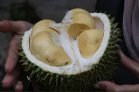 还在吃水果减肥？4种热量很高的水果，只会让你越减越肥图片