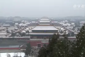 北京又下雪了！ 白雪作飞花 不嫌春色晚视频封面