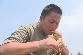 旁听群众代表张培：乡镇农学博士站里的“草根专家”视频封面