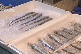 上海市内陆水域今起进入禁渔期，为期三个月，水产品进入销售淡季视频封面