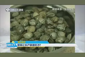 如何让水产快速吐沙？是放盐还是放铁钉，实验为你找到最好方法视频封面