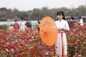 海珠湖花开成海，小仙女们喊你来拍照了!视频封面