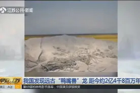 我国湖北地区发现远古“鸭嘴兽”龙，距今约2亿4千8百万年！视频封面