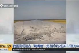 我国湖北地区发现远古“鸭嘴兽”龙，距今约2亿4千8百万年！视频封面