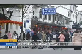 想看灯会别忘了网上预约电子票，不然元宵节进不去夫子庙了！视频封面