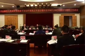 「本地新闻」盐源县人民政府党组班子召开2018年度民主生活会暨扶贫领域专项巡视整改专题民主生活会图片