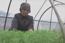 奋力脱贫攻坚 生态追“清”逐“绿”——江西落实习近平总书记全国两会重要讲话精神纪实视频封面