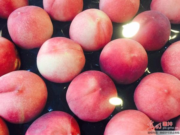 鱼皮是胶原蛋白还是脂肪 2026年鱼皮都是胶原蛋白吗