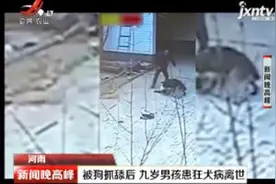 河南新乡：被狗抓舔后 九岁男孩患狂犬病离世视频封面