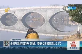 八九第一天，山东气温逐步回升，可谓春回大地，万物复苏视频封面