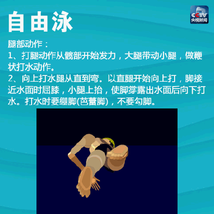 一次带你入门4种游泳姿势！春天到了，一起健身吧！