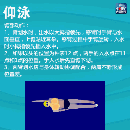 一次带你入门4种游泳姿势！春天到了，一起健身吧！