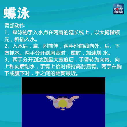 一次带你入门4种游泳姿势！春天到了，一起健身吧！