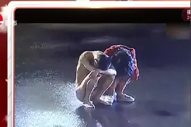 无语！情侣吵架负气只穿内衣上街"殉情"，出门前竟还放火烧屋视频封面