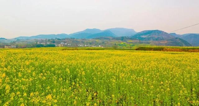 ʮ紺еأ5طת죡