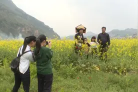 千亩油菜花迎春绽放，大妈穿着旗袍踏青视频封面