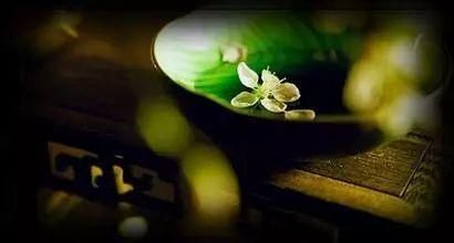 “吃茶”怎么个“吃”法？原来茶的学问这么大