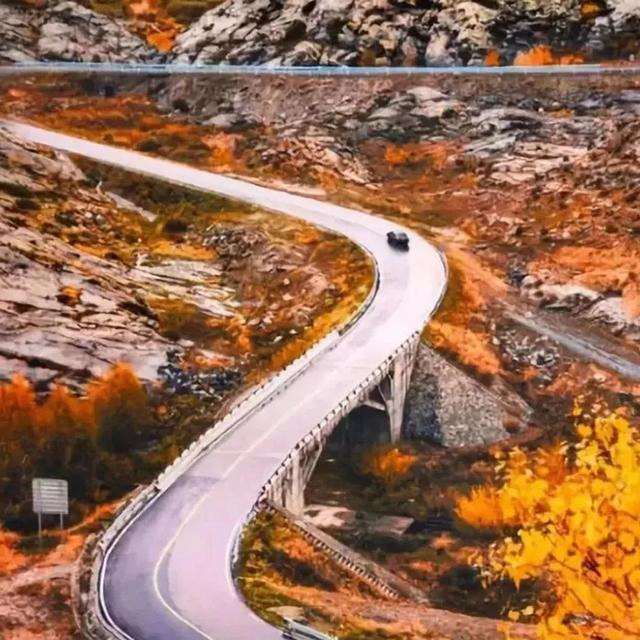 内含福利！等你来撒欢！大到罕见的魔都“奇迹城堡”里，巨型花海已达颜值巅峰！还有“神奇动物”出没呢！