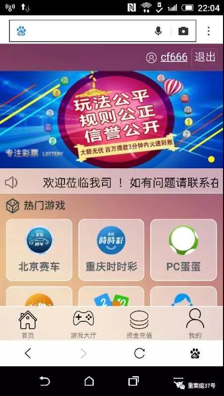 东南亚“杀猪盘”：“爱情”圈养的网络骗局