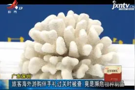 广东深圳：旅客海外游购伴手礼过关时被查 竟是濒危物种制品视频封面