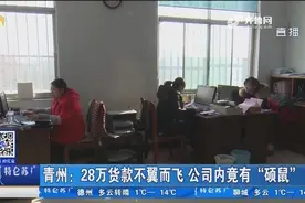 意外发现财务漏洞，男子处理“短帐”赚取外快，两年拿走货款28万视频封面