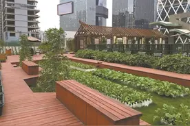 屋顶绿化每平米可享180元建设经费补贴图片