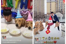 火山小视频明星宠物聪明可爱萌哭千万用户 网友：为啥我家是傻狗图片