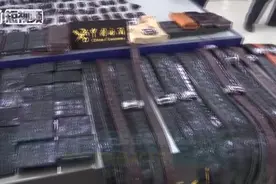 出国旅游带鳄鱼皮包回国？海关提醒会被查扣视频封面