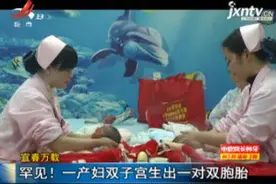 宜春万载：罕见！一产妇双子宫生出一对双胞胎视频封面