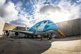 可爱的小海龟全日空航空的A380客机1/1图片
