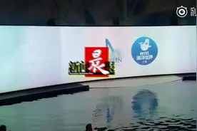 上海两头白鲸谢幕演出放归自然 网友：愿你自由视频封面