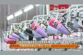 中国纺织服装进出口连续两年增长 上游产品竞争优势凸显视频封面
