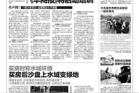 买房后沙盘上水域变绿地图片