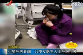江苏徐州：小猫呼吸衰竭 23岁女医生人工呼吸抢救视频封面