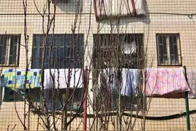 长沙太阳终于营业！全民晒被，没有一棵树能逃过当晾衣杆的命运（视频）图片