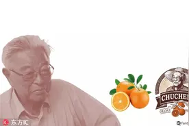 哀牢山上的创业老人褚时健走了 他留下的万亩橙园迎来最美风光图片