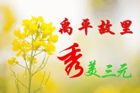 3.8女神节｜第六届三元油菜花节已为你"佩奇"游玩攻略图片