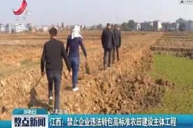 江西：禁止企业违法转包高标农田建设主体工程视频封面