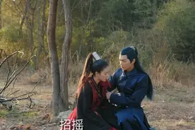 招摇在厉尘澜怀里炸成烟花，厉尘澜散尽神识寻找招摇，好笑又好哭图片