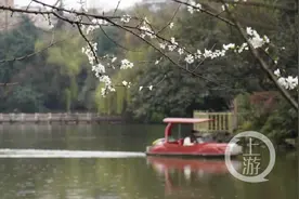 沾衣欲湿杏花雨 吹面不寒杨柳风图片